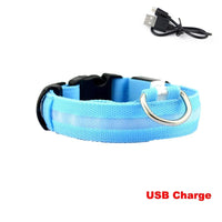 Coleira de LED para Cães e Gatos com Carregamento USB