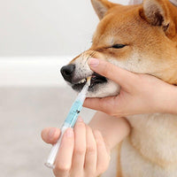 Caneta Limpadora De Dentes De Pet – PETCLEAN®