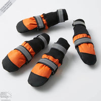 Botas para Animais de Estimação - Proteja seu Melhor Amigo, não Importa a Estação do Ano!